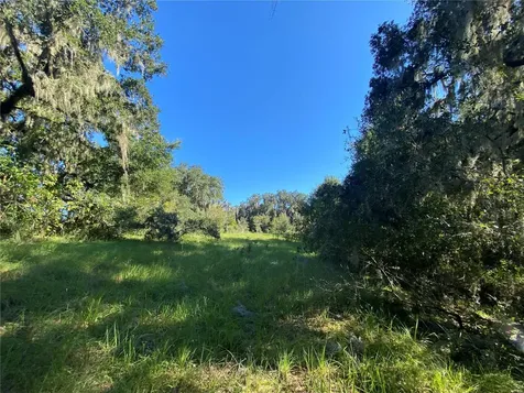 8701 S Fruition Avenue Floral City FL 34436