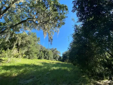 8701 S Fruition Avenue Floral City FL 34436