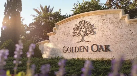 10160 Autumn Mist Lane Golden Oak FL 32836