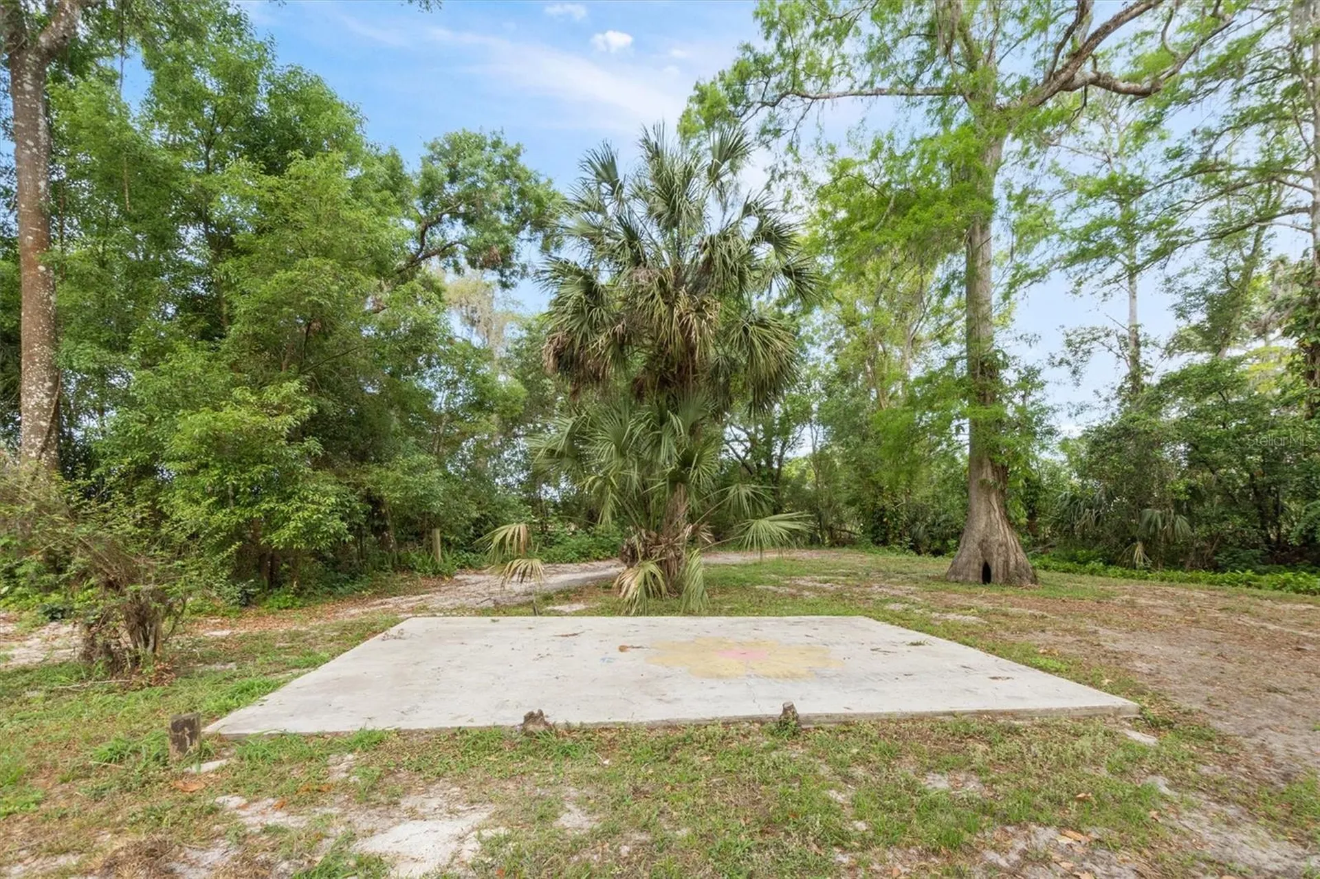 6005 Ike Smith Road Plant City FL 33565