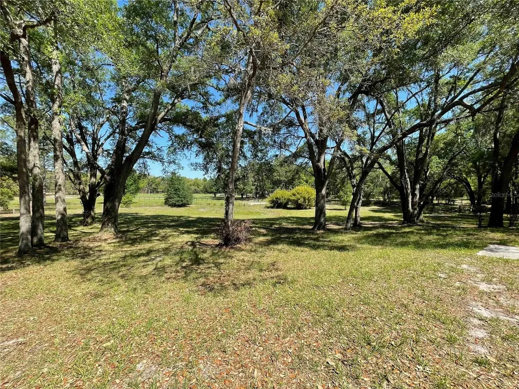 1550 SE 111th Court Morriston FL 32668