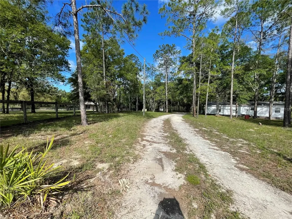 1550 SE 111th Court Morriston FL 32668
