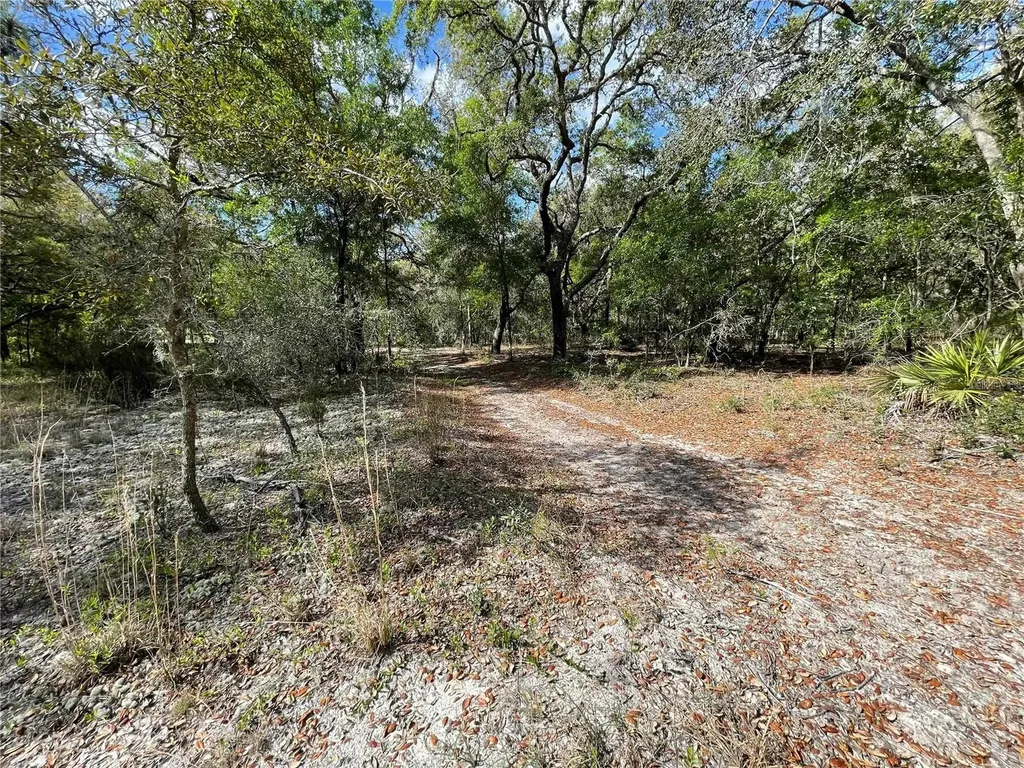1550 SE 111th Court Morriston FL 32668