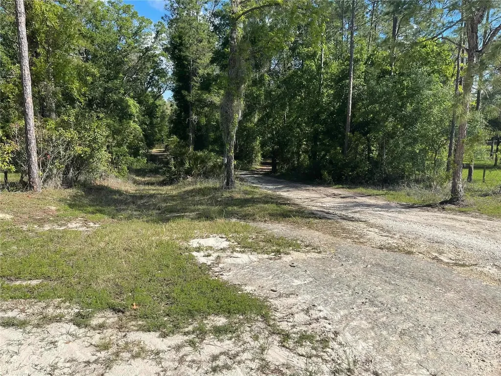 1550 SE 111th Court Morriston FL 32668