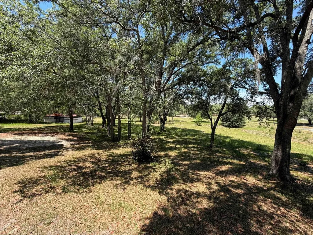 1550 SE 111th Court Morriston FL 32668