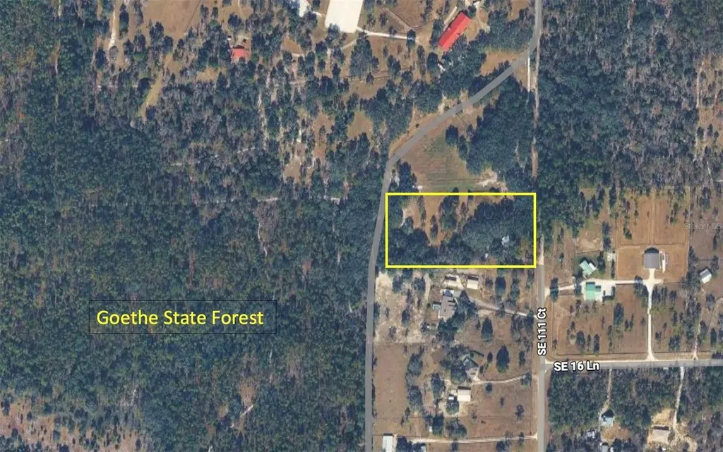 1550 SE 111th Court Morriston FL 32668