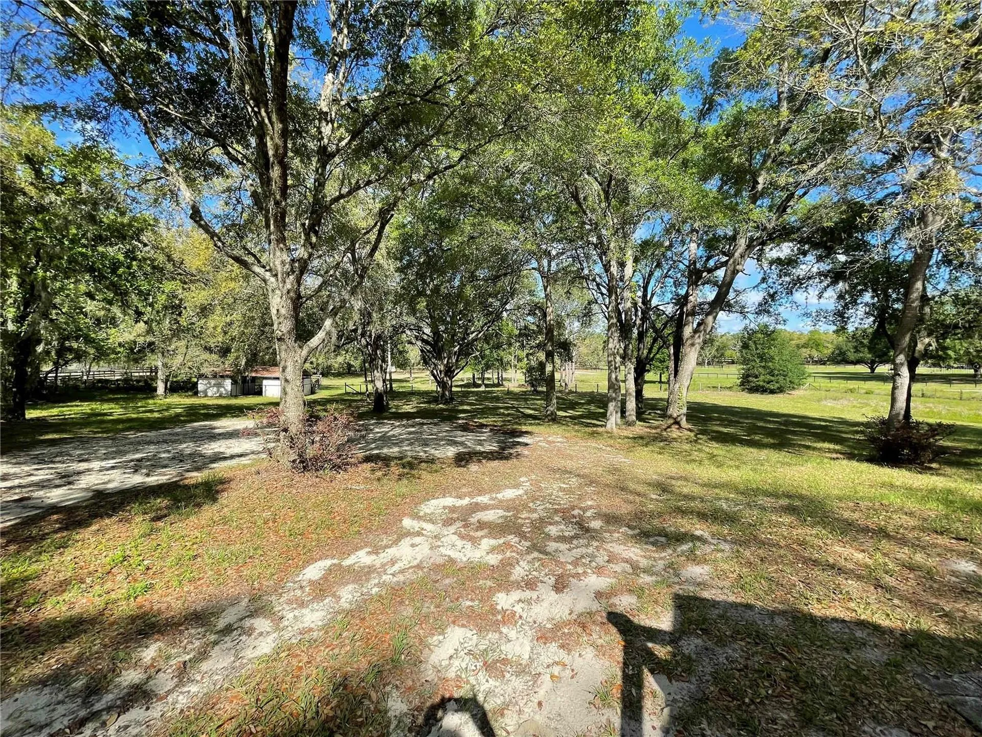 1550 SE 111th Court Morriston FL 32668