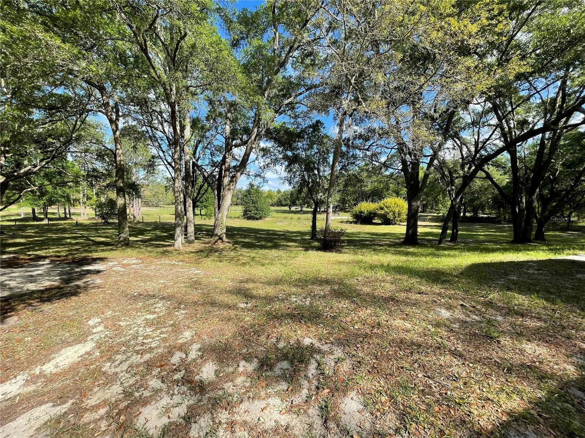 1550 SE 111th Court Morriston FL 32668