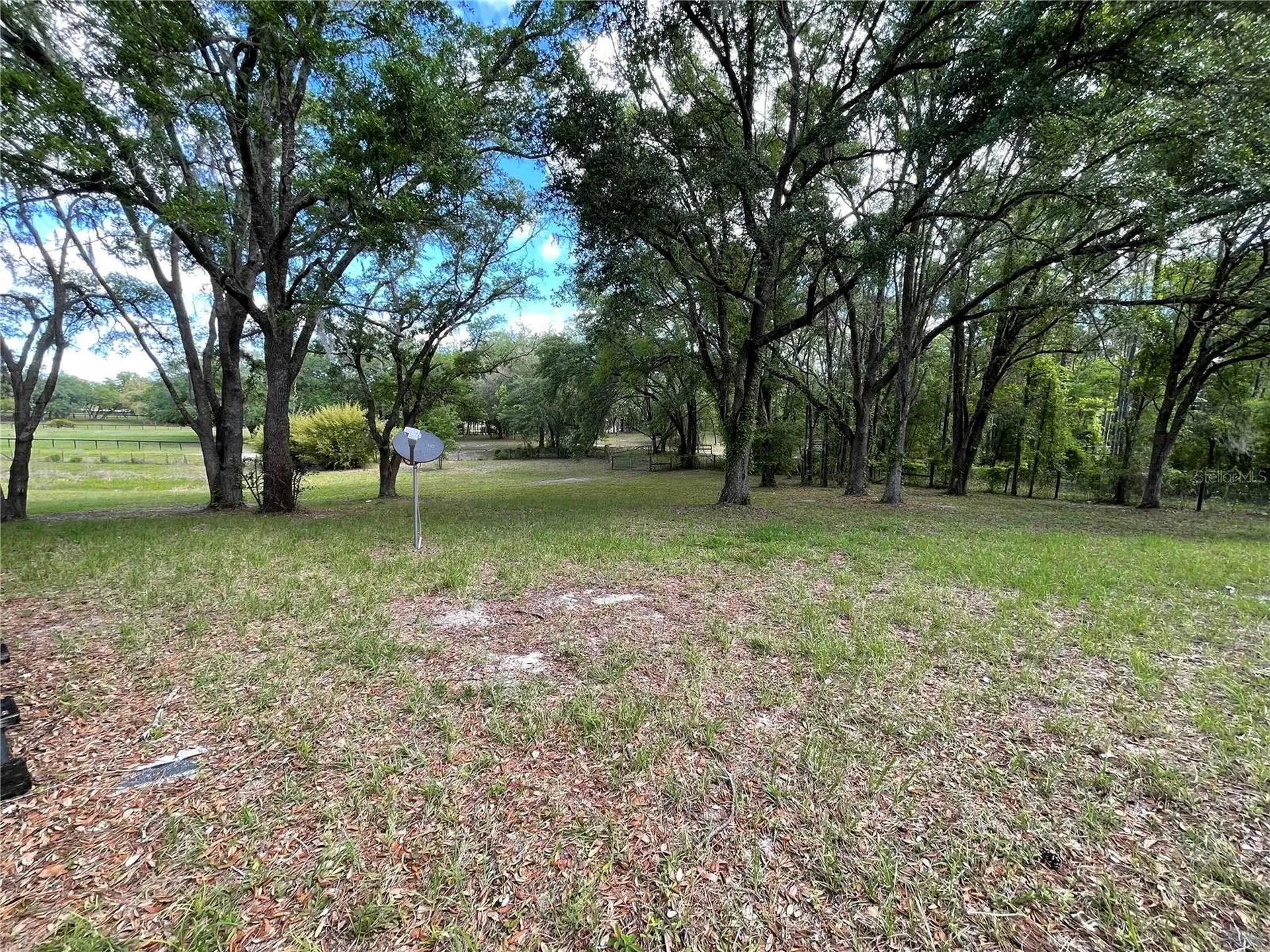 1550 SE 111th Court Morriston FL 32668