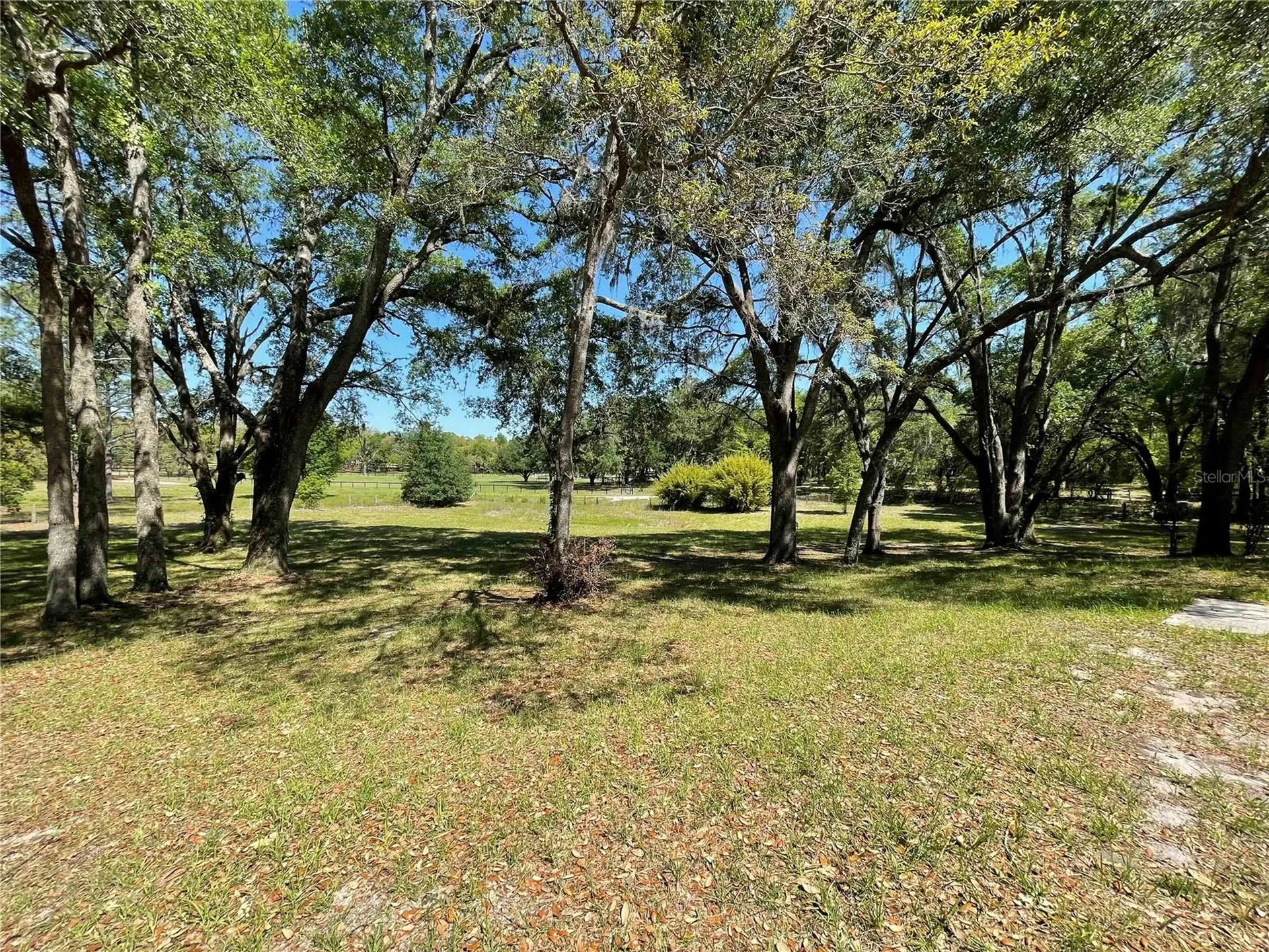 1550 SE 111th Court Morriston FL 32668
