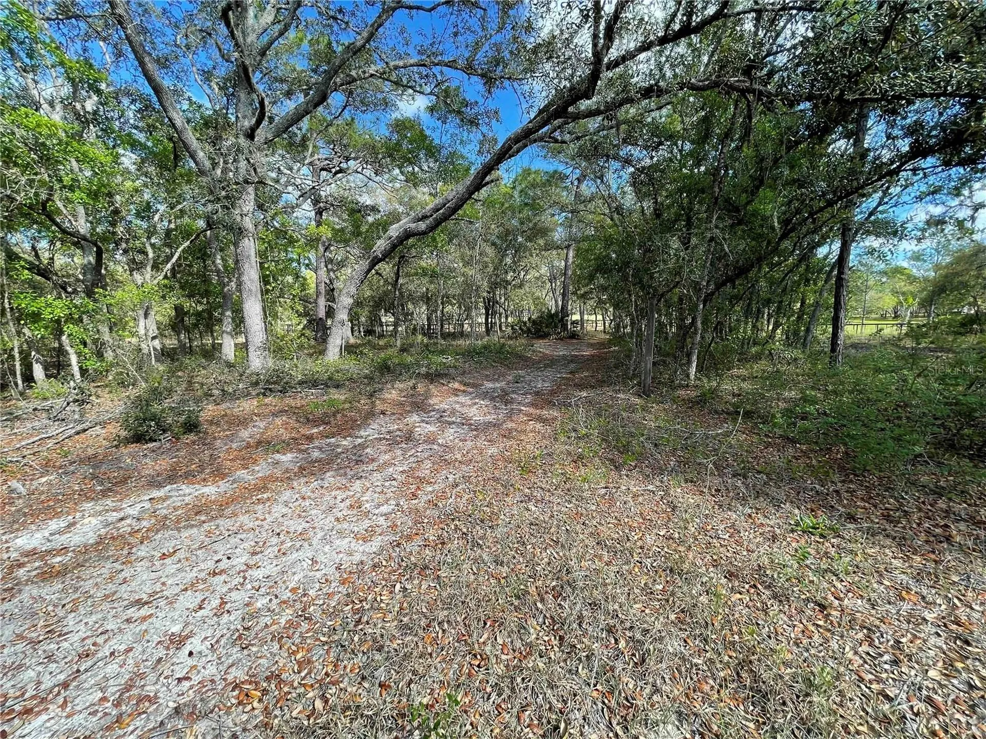 1550 SE 111th Court Morriston FL 32668