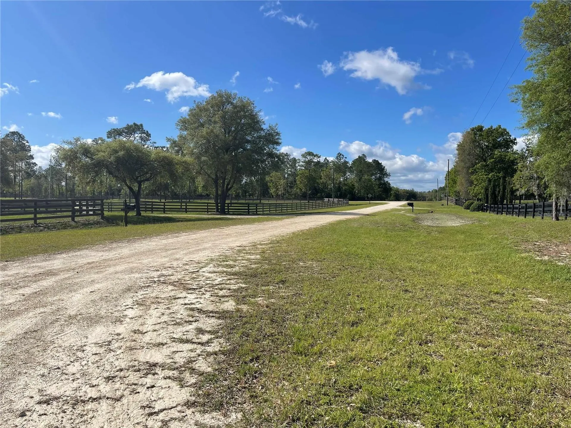 1550 SE 111th Court Morriston FL 32668