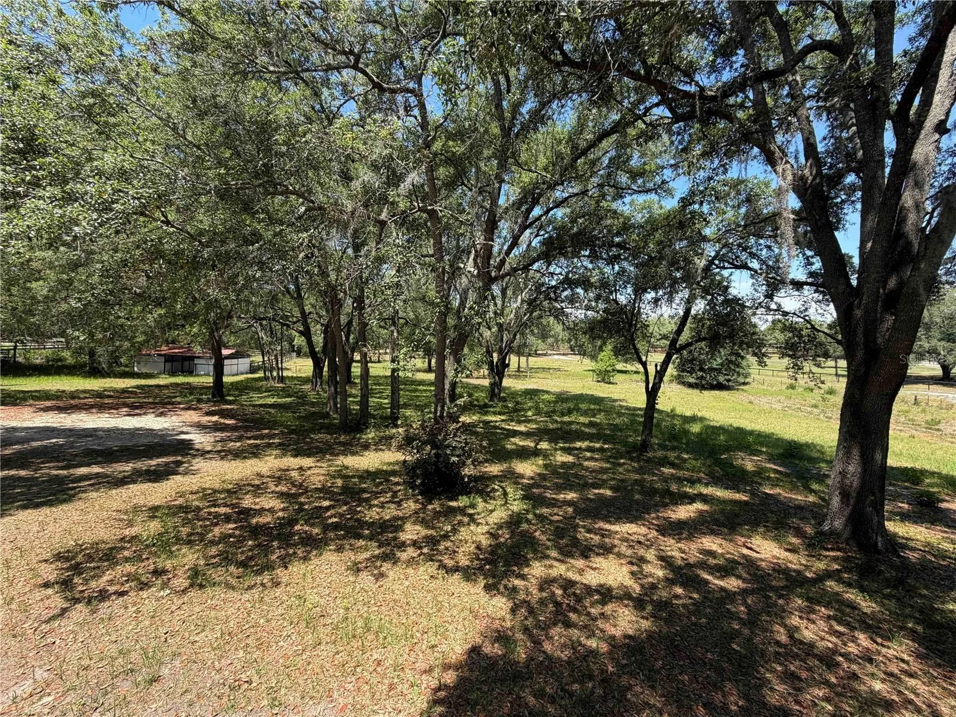 1550 SE 111th Court Morriston FL 32668