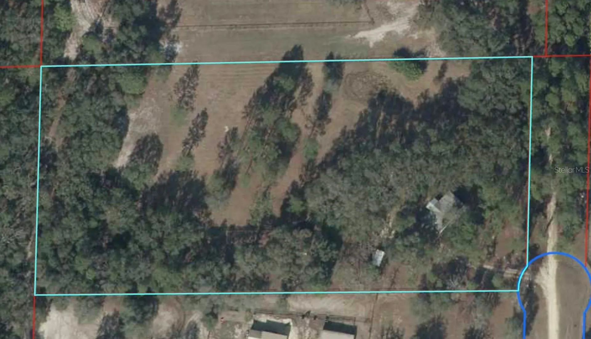 1550 SE 111th Court Morriston FL 32668