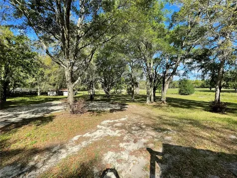 1550 SE 111th Court Morriston FL 32668