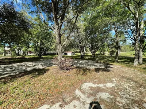 1550 SE 111th Court Morriston FL 32668