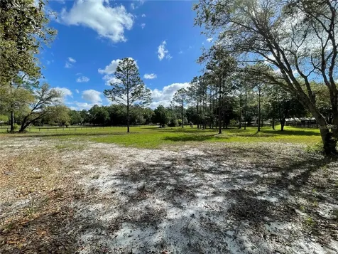 1550 SE 111th Court Morriston FL 32668