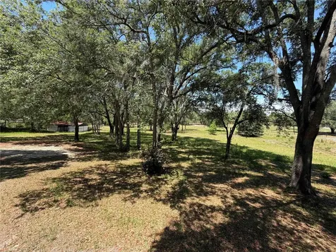1550 SE 111th Court Morriston FL 32668