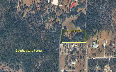 1550 SE 111th Court Morriston FL 32668