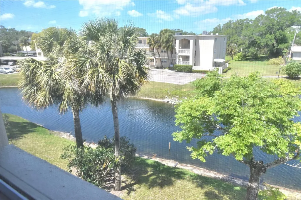 940 Virginia Street Dunedin FL 34698