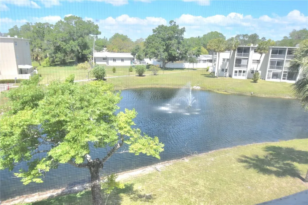 940 Virginia Street Dunedin FL 34698