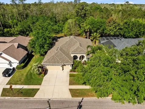 15254 Bellamy Road Tampa FL 33625