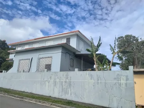#48 Calle Santa Rosa San German PR 00683