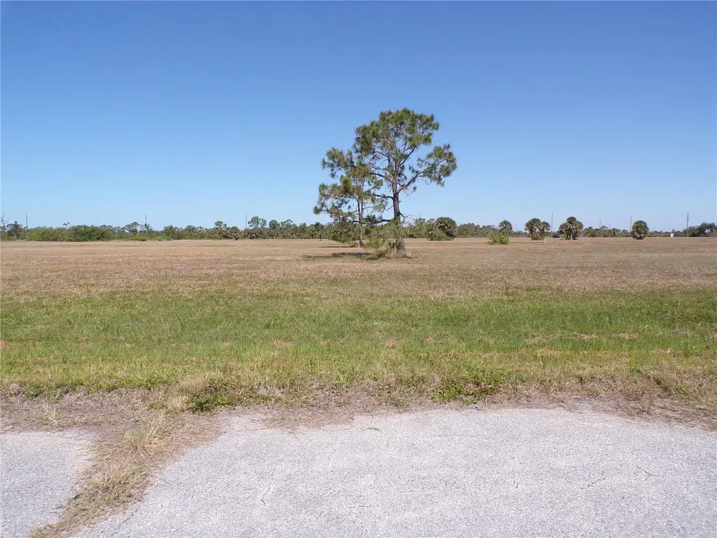 12163 Sea Robin Lane Placida FL 33946