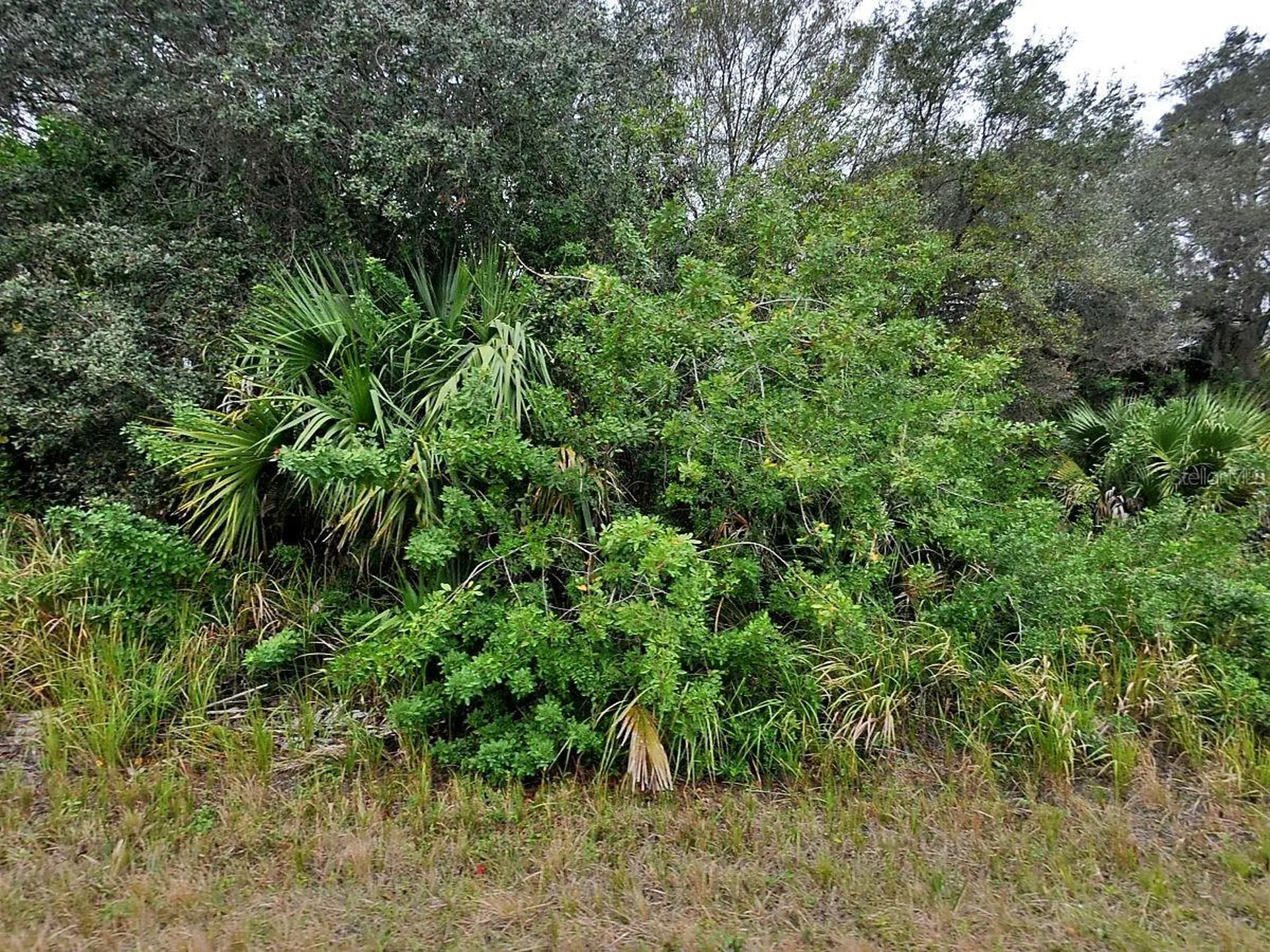 Brewster Lot #8 Road North Port FL 34288
