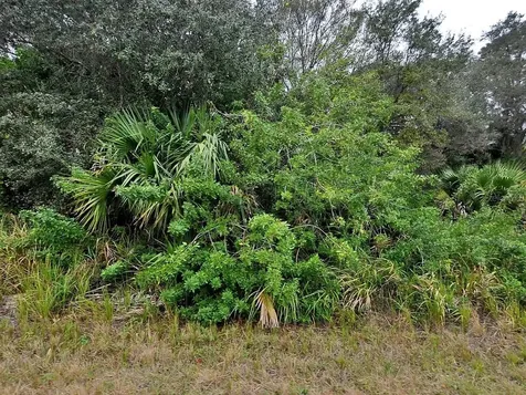 Brewster Lot #8 Road North Port FL 34288