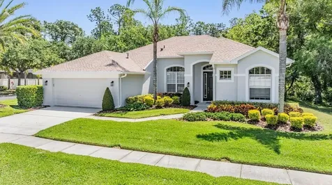 12802 Stanwyck Circle Tampa FL 33626
