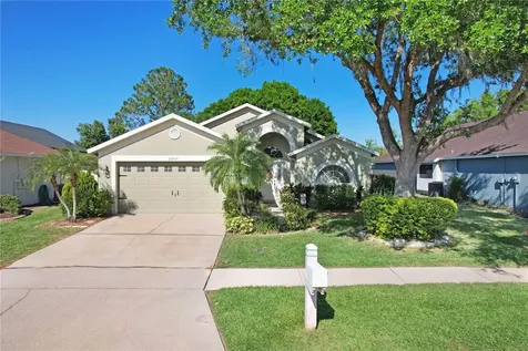 29737 Fog Hollow Drive Wesley Chapel FL 33543