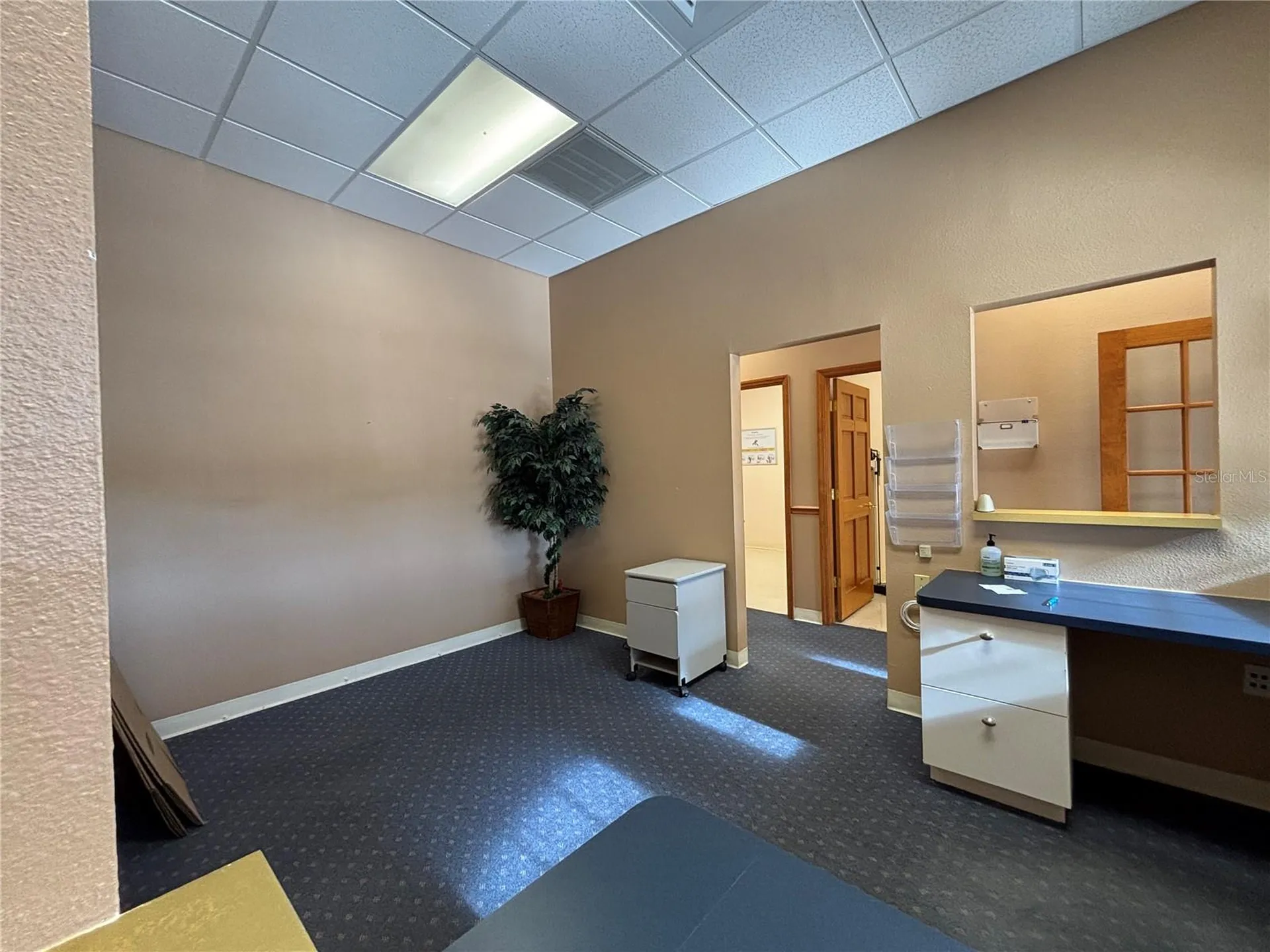 2855 Alt 19 Palm Harbor FL 34683