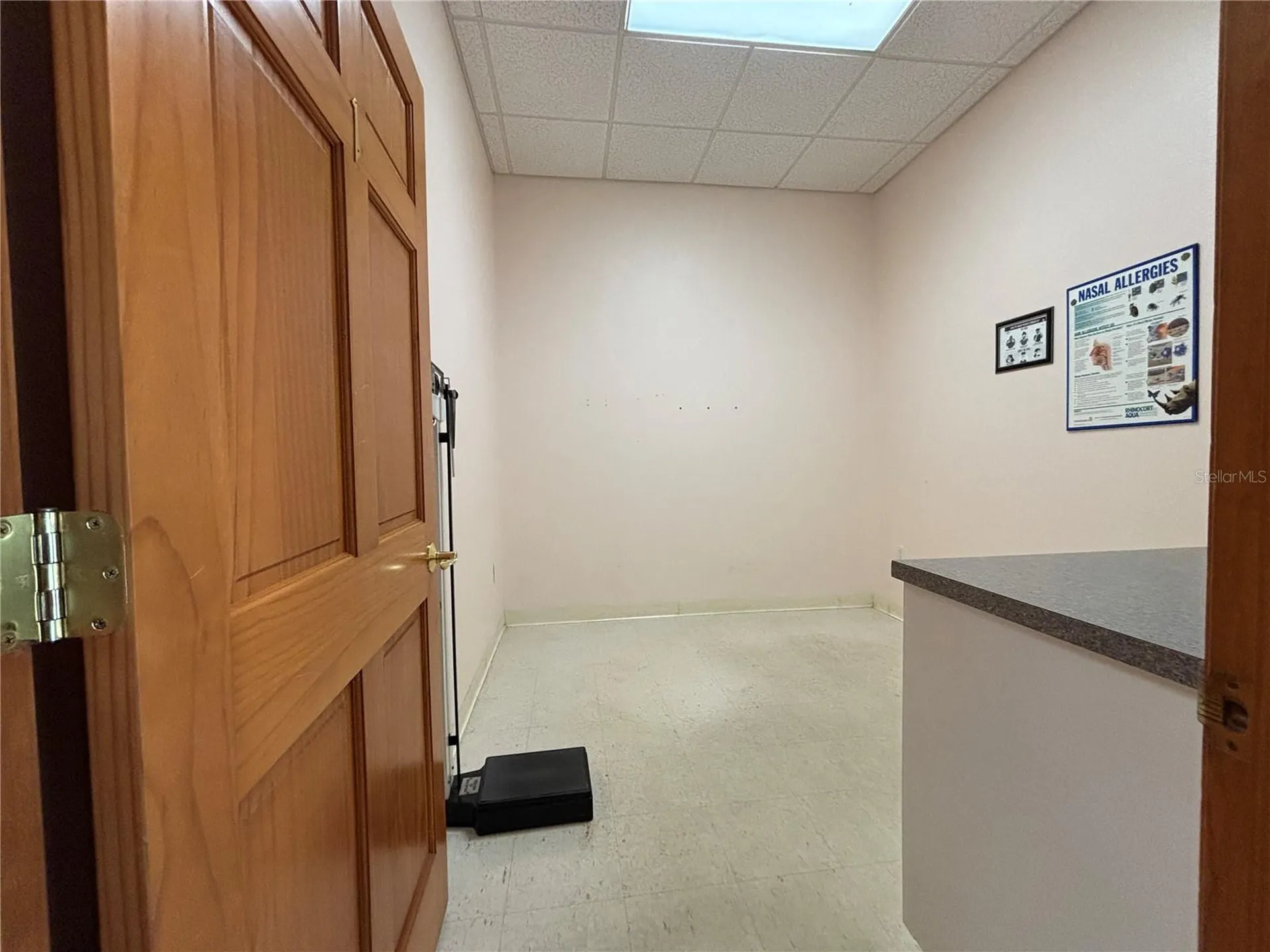 2855 Alt 19 Palm Harbor FL 34683