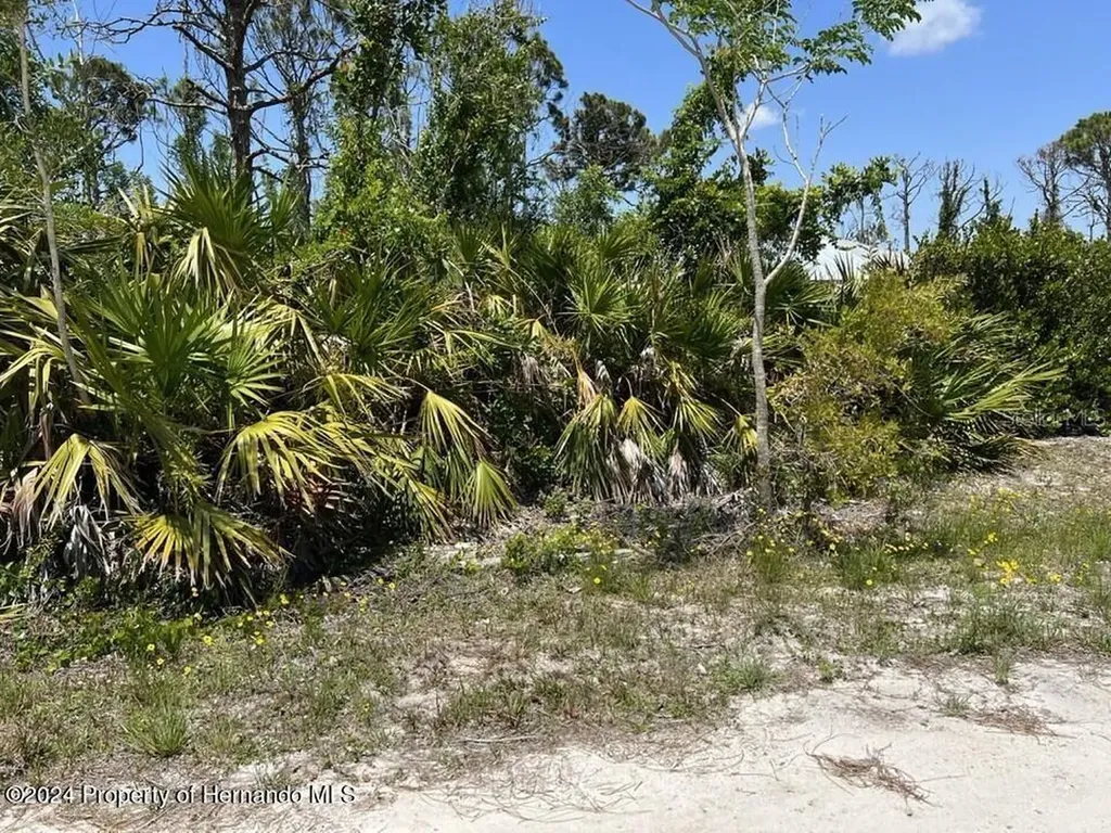 3714 Myers Lane St James City FL 33956