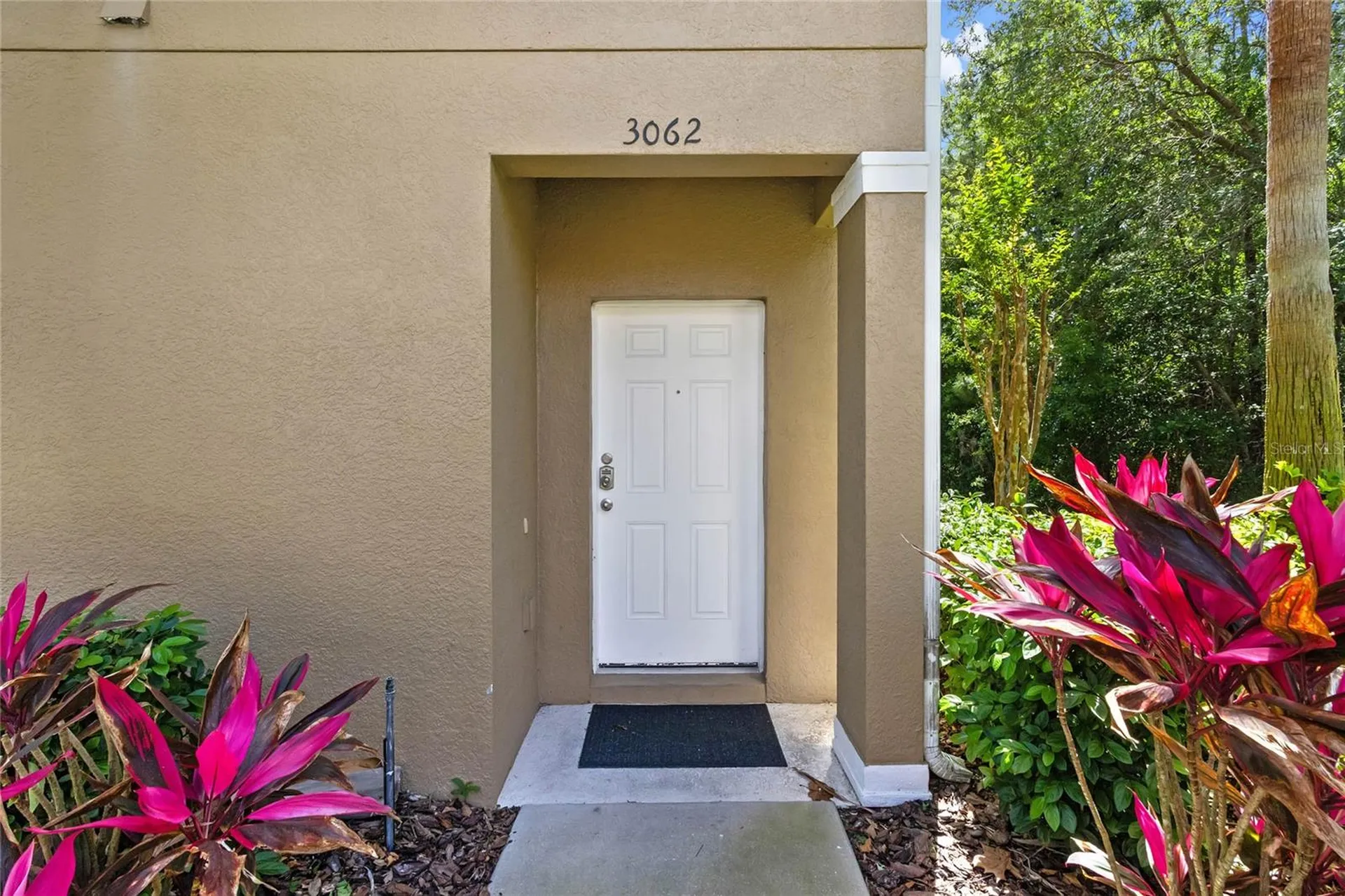 3062 Yellow Lantana Lane Kissimmee FL 34747