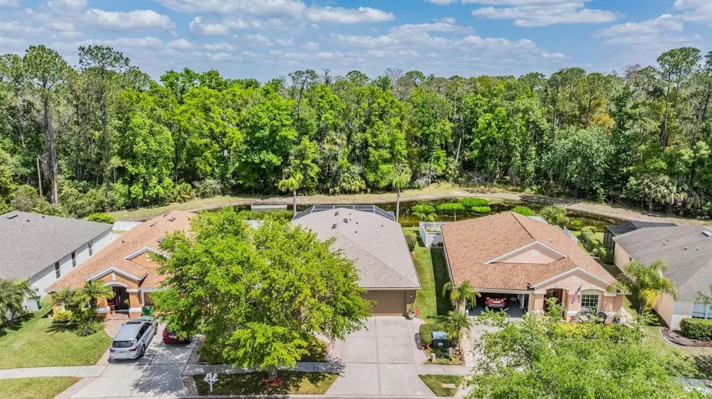 25324 Lexington Oaks Boulevard Wesley Chapel FL 33544