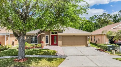 25324 Lexington Oaks Boulevard Wesley Chapel FL 33544