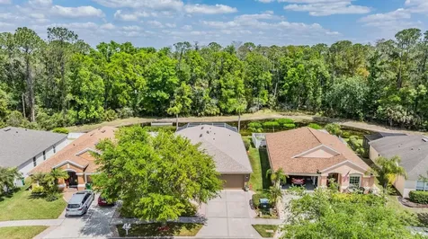 25324 Lexington Oaks Boulevard Wesley Chapel FL 33544