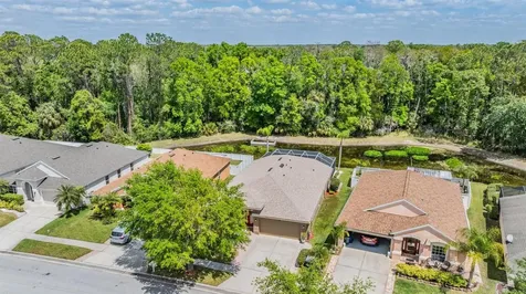 25324 Lexington Oaks Boulevard Wesley Chapel FL 33544
