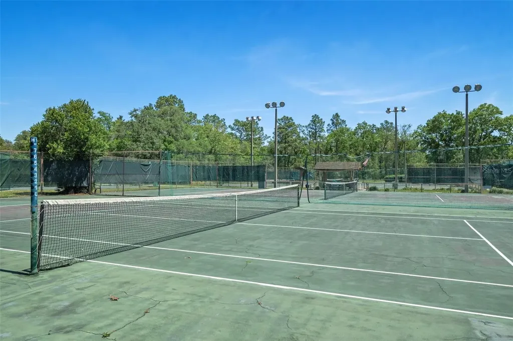 17 Myosotis Court Homosassa FL 34446