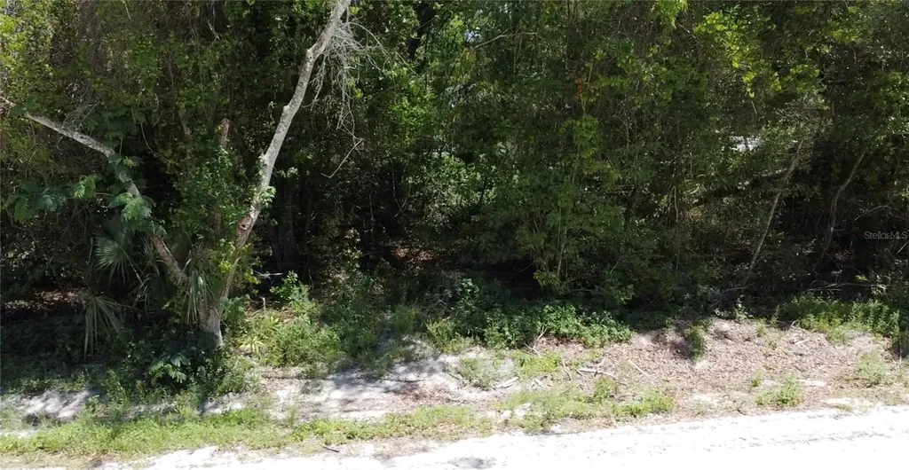 12TH Street Orange City FL 32763
