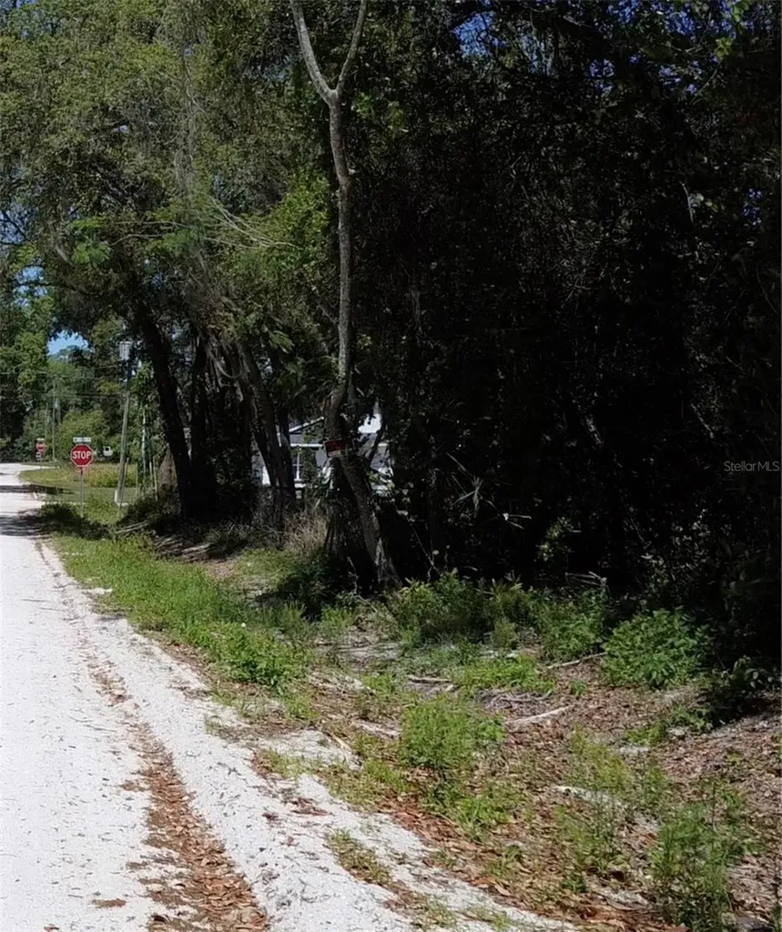 12TH Street Orange City FL 32763