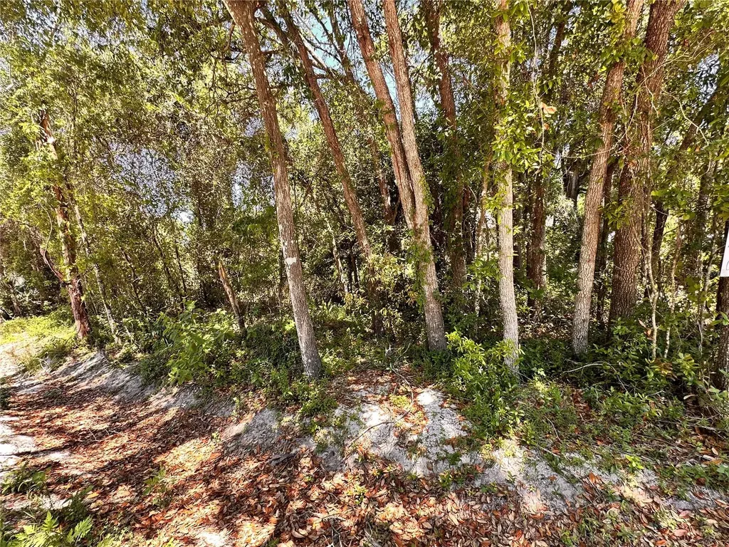 12TH Street Orange City FL 32763