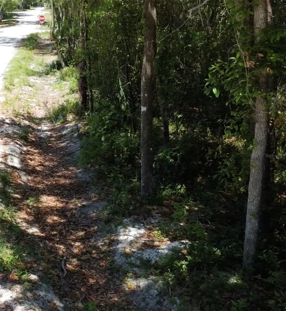 12TH Street Orange City FL 32763