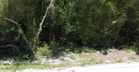 12TH Street Orange City FL 32763