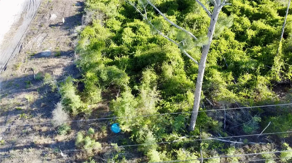 1190 9th Avenue Deland FL 32724