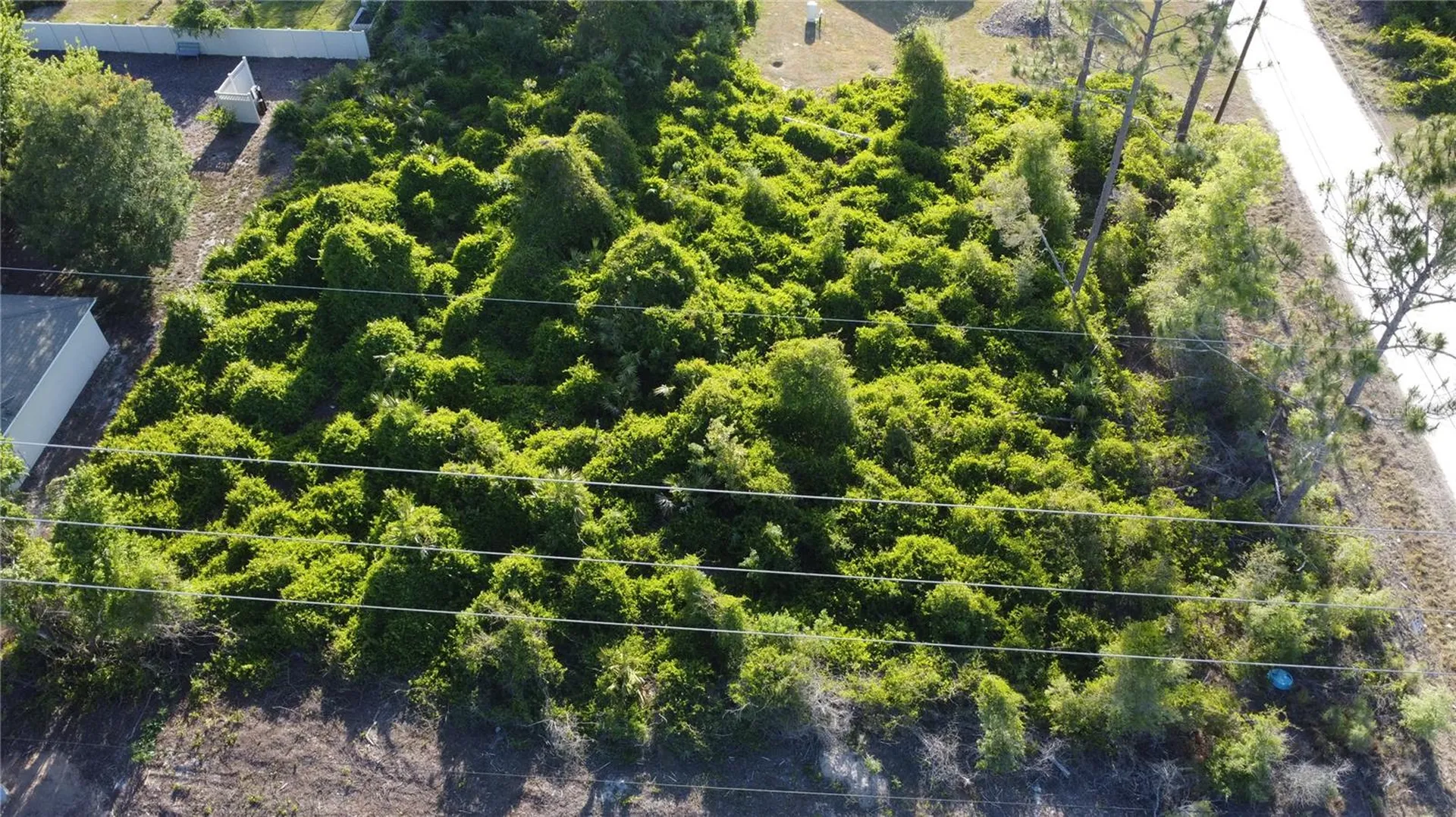 1190 9th Avenue Deland FL 32724