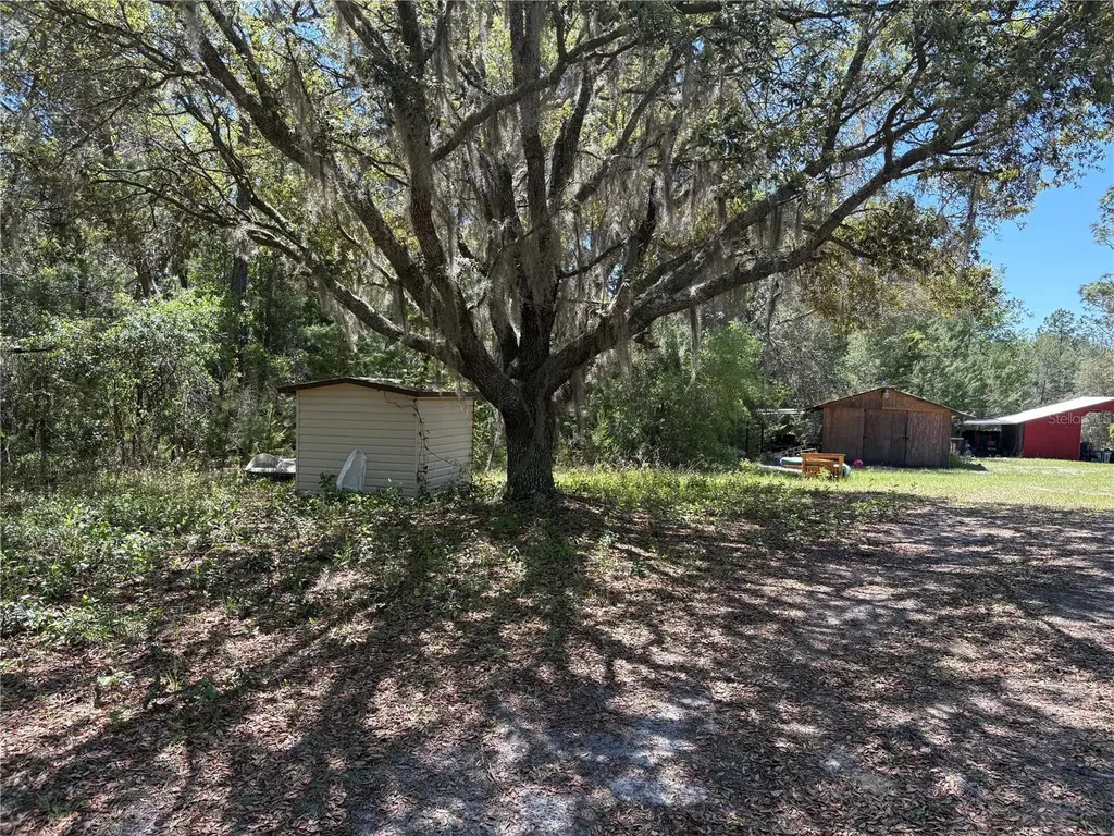 1882 Bellamy Road Florahome FL 32140