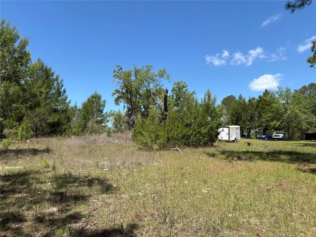 1882 Bellamy Road Florahome FL 32140